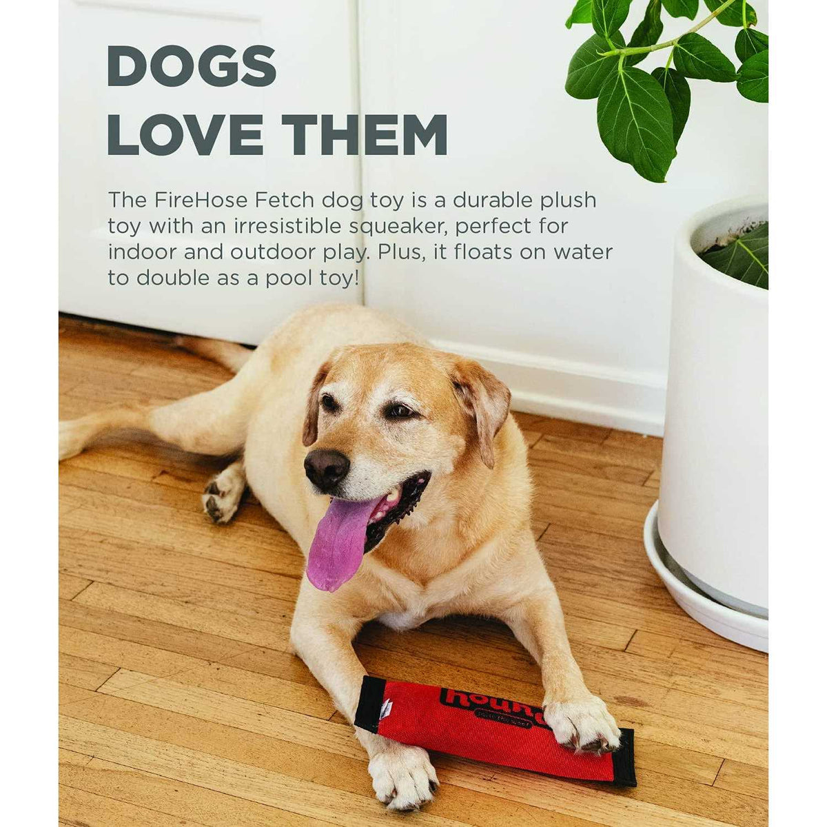 Fetch Dog Toy V290136