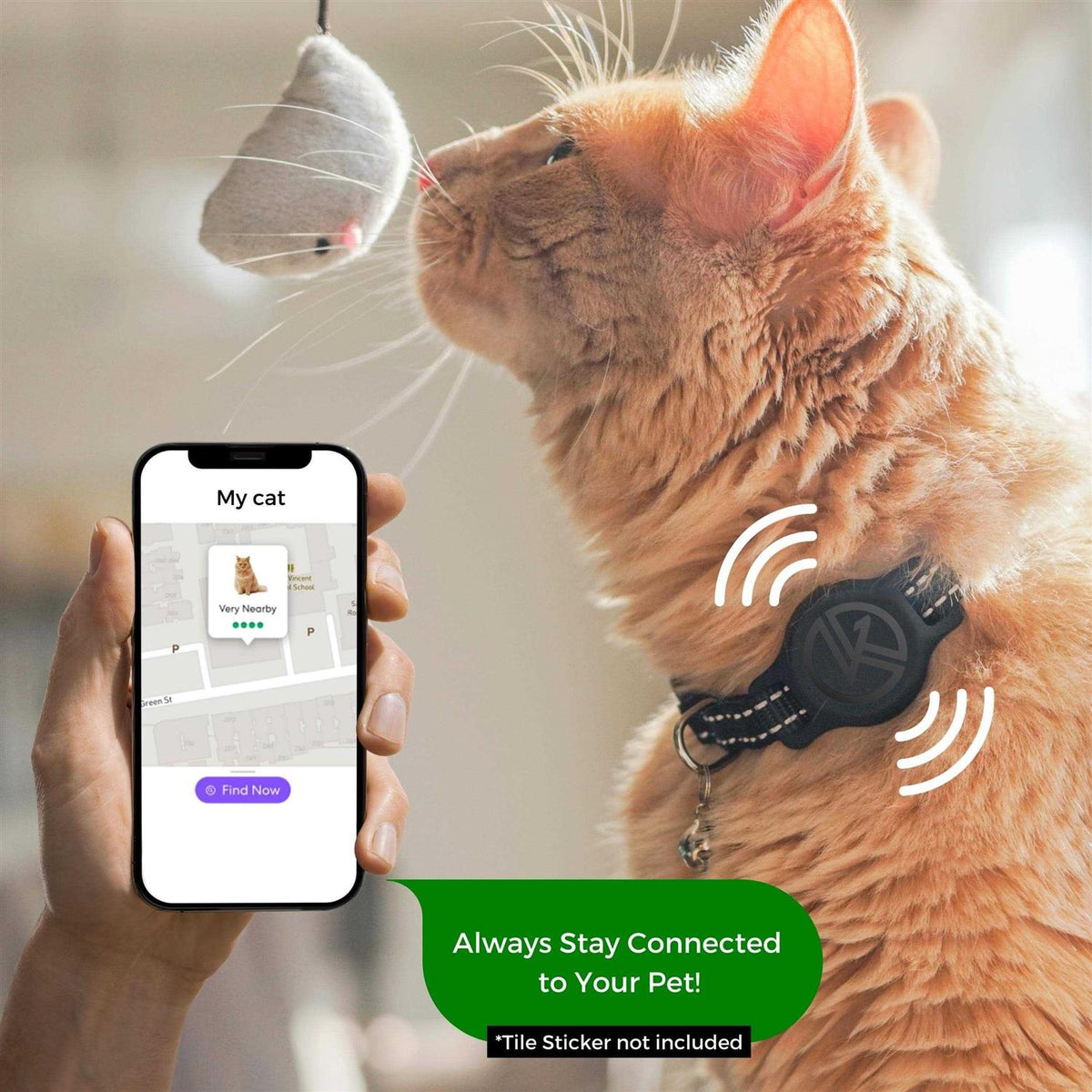 Breakaway Reflective Cat Collar with Tile Sticker Holder and Bell T718779