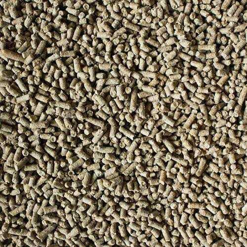 Hedgehog Food Y70050