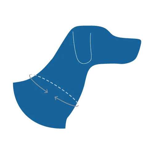 Clip Dog Collar L167