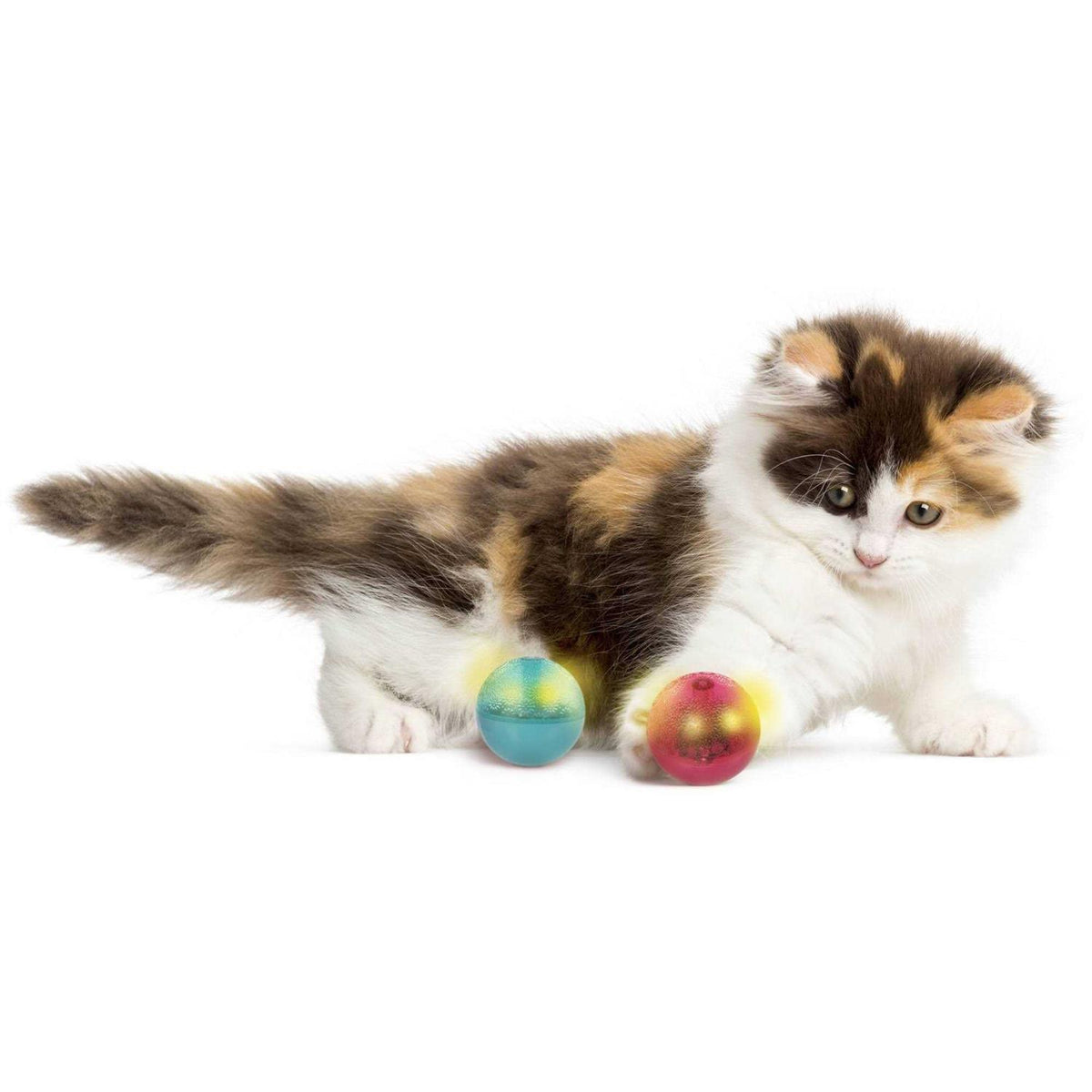 Cat Toy C6569