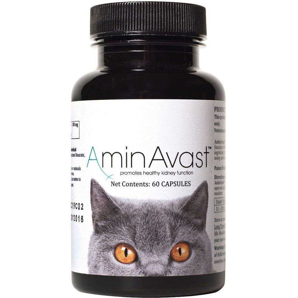 Kidney Support for Cats J566