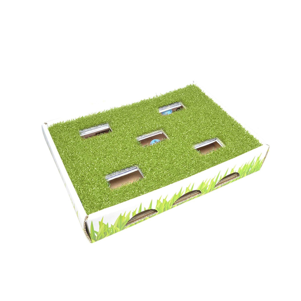 Grass Patch Cat Toy W9907