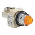 Push to Test Pilot Light M3132