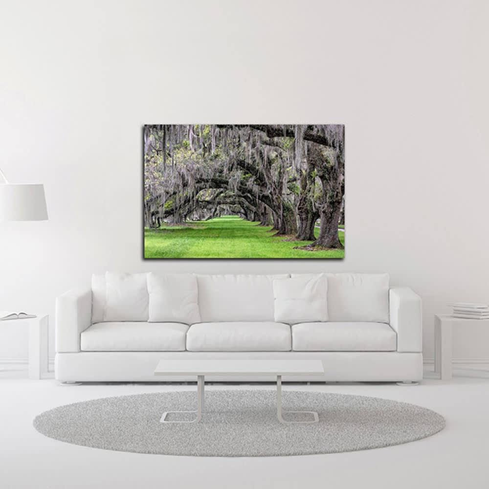 24x22 x 36x22 Print on Canvas J294701