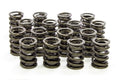 Valve Spring A611498