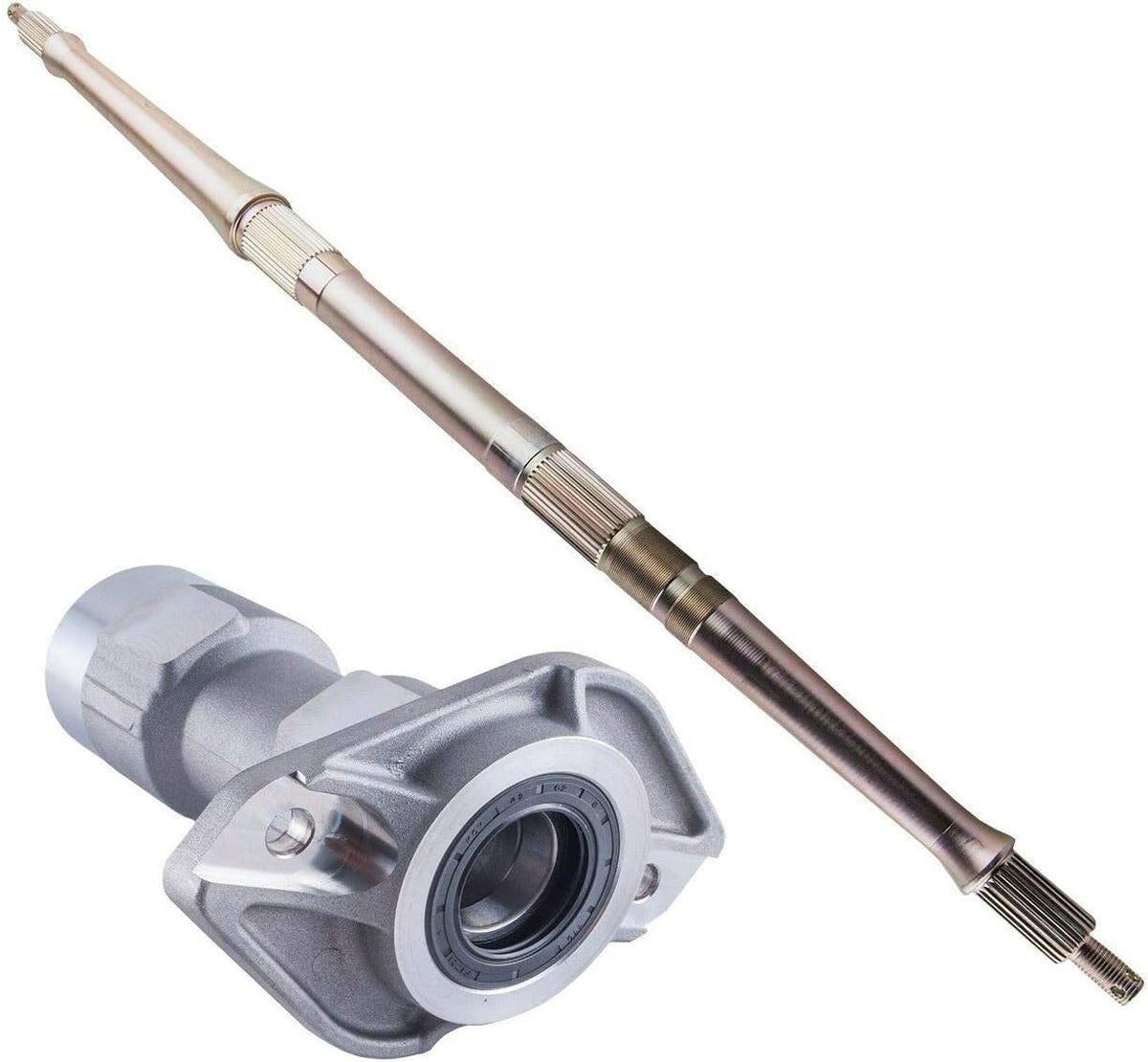Rear Axle and Bearing Carrier P4962