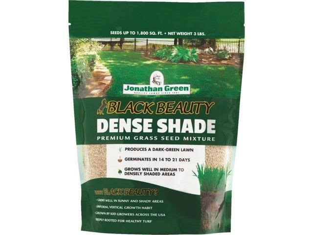 Black Beauty Dense Shade Grass Seed Mixture, 3 lb K881