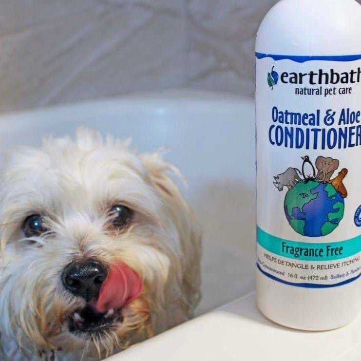Oatmeal & Aloe Conditioner C6778
