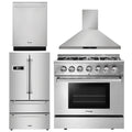 36 Dual Fuel Range, Range Hood, Dishwasher, Refrigerator V394