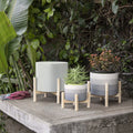 12" Ceramic Chevron Planter with Wood Stand G863540
