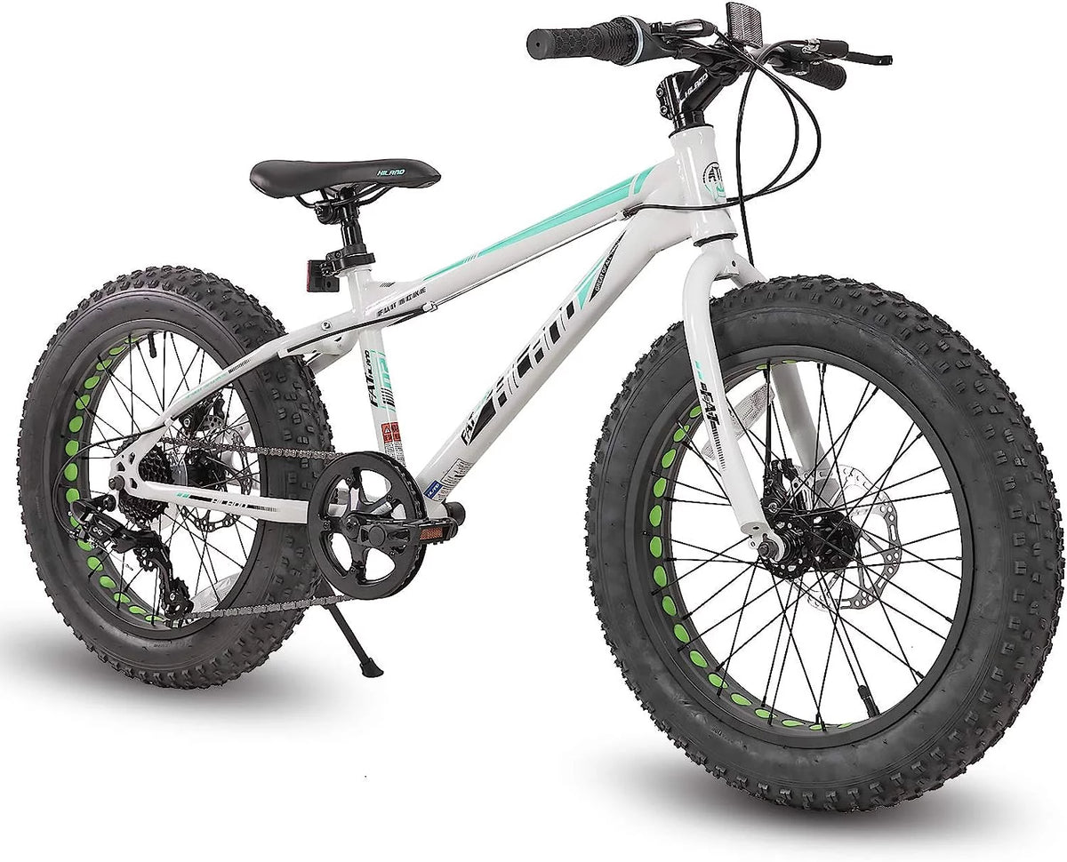 20 inch Kids Fat Tire Mountain Bike B582