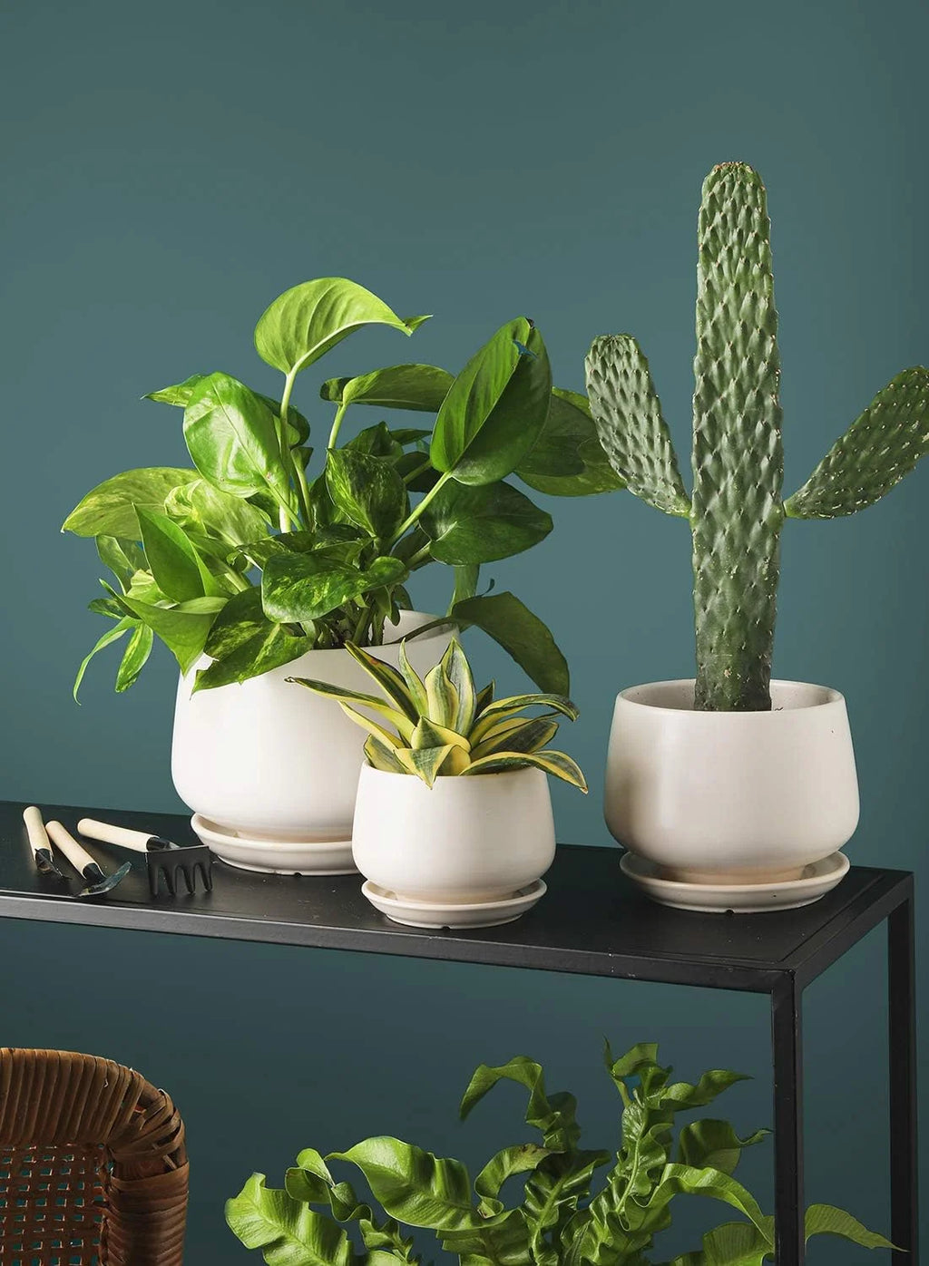 4.1+5.1+6.5 Inch Ceramic Plant Pots with Drainage Hole and Saucer, Set of 3, White S91533