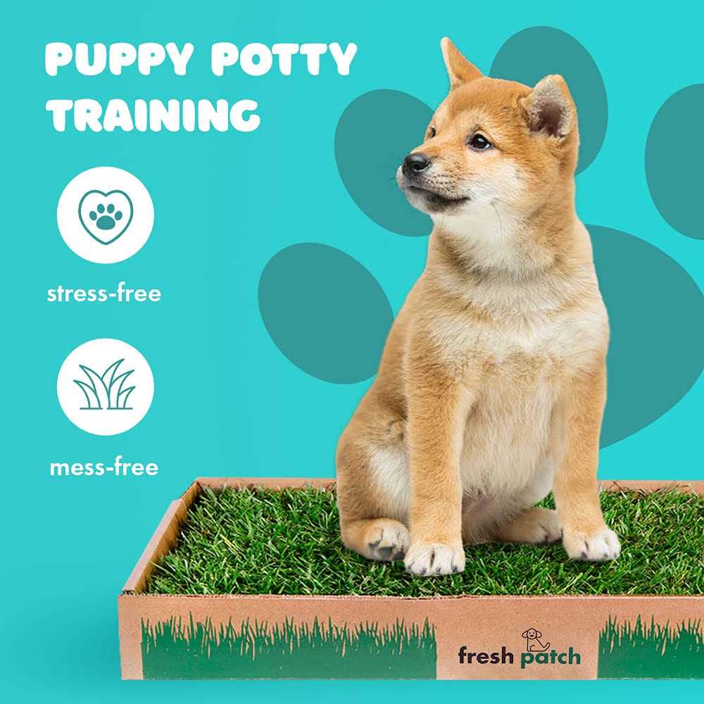 Large Real Grass Pee and Potty Training Pad for Dogs 15 to 30 pounds C9224