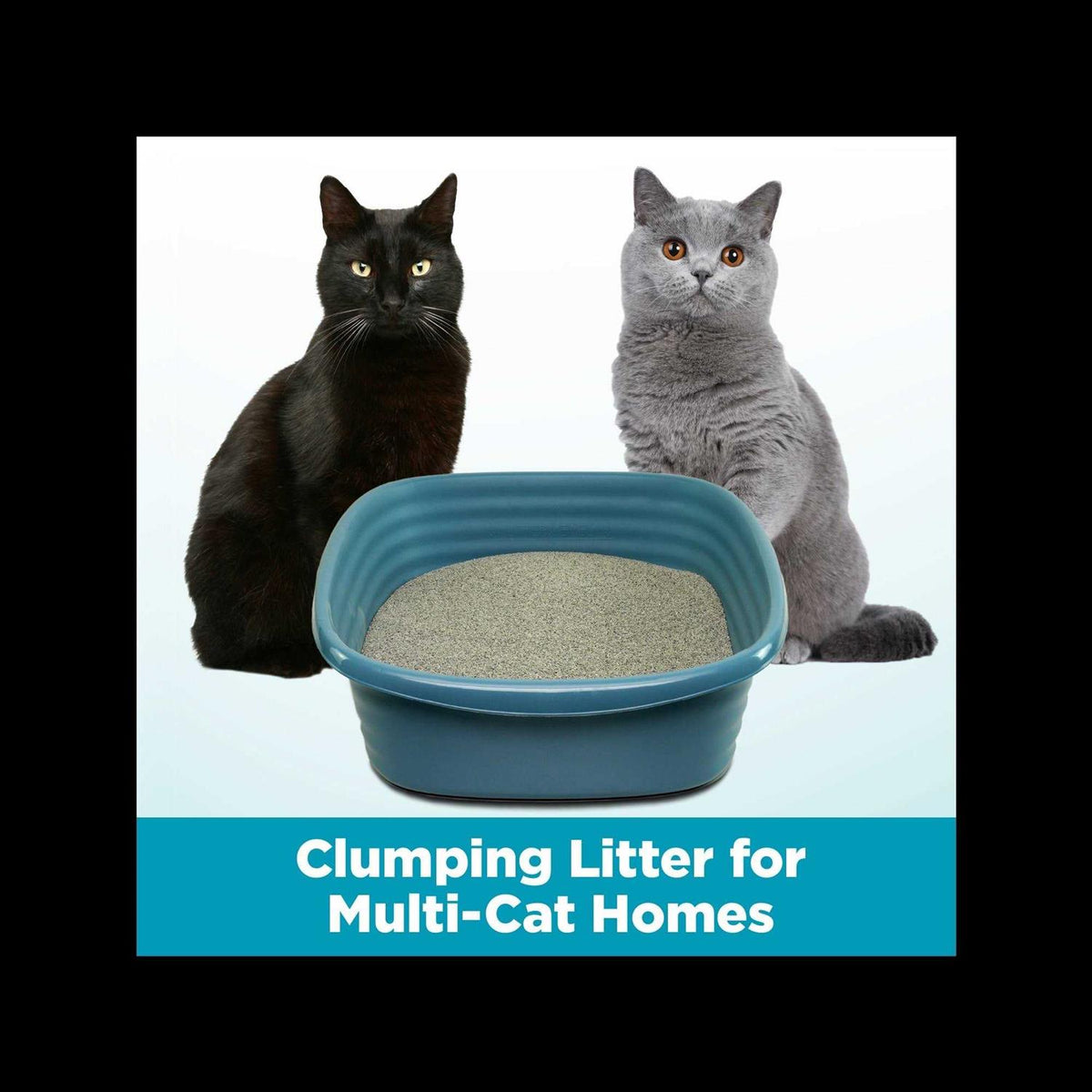 Clumping Multi-Cat Litter C5016