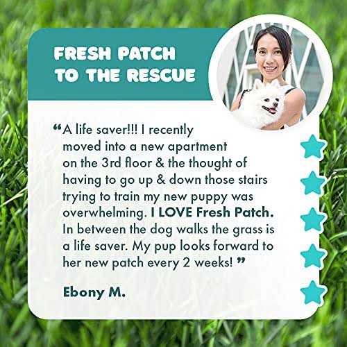 Large Real Grass Pee and Potty Training Pad for Dogs 15 to 30 pounds C9224