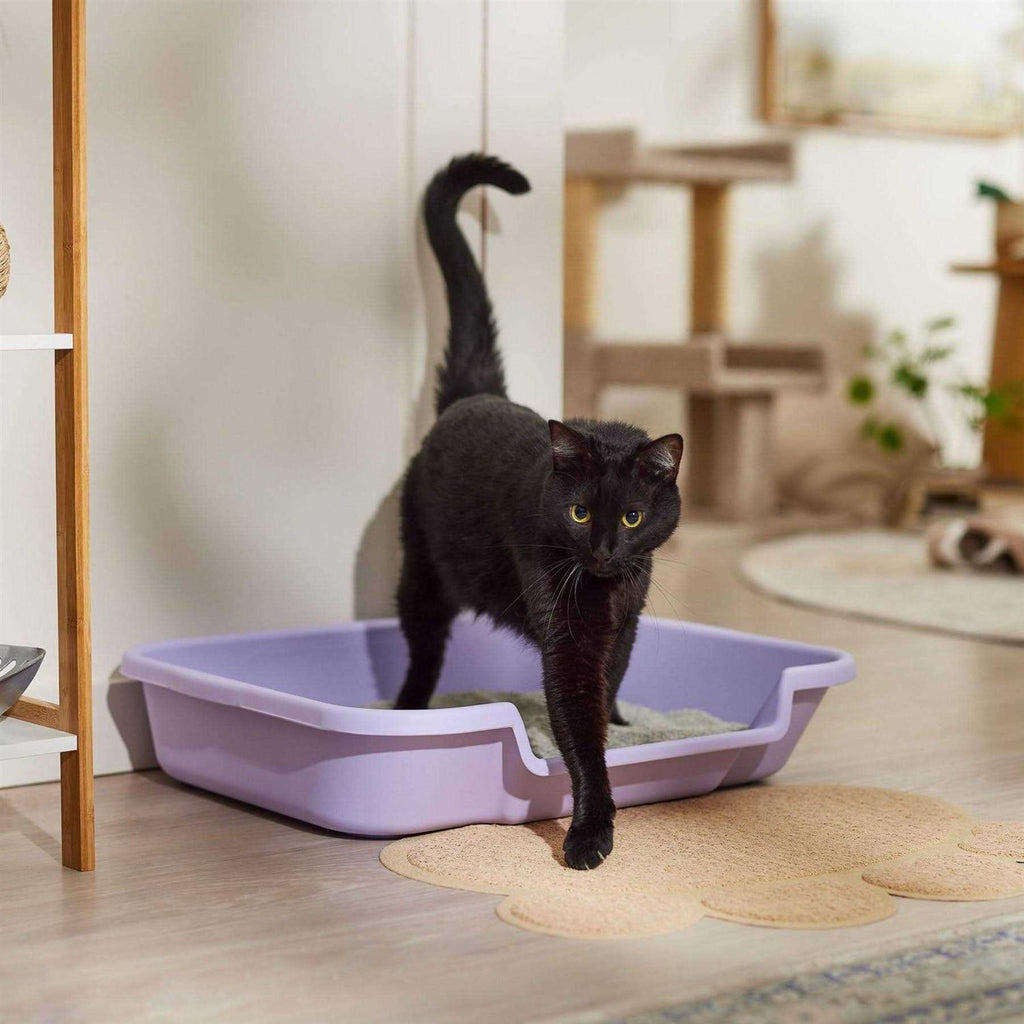 Senior Cat Litter Box G885029