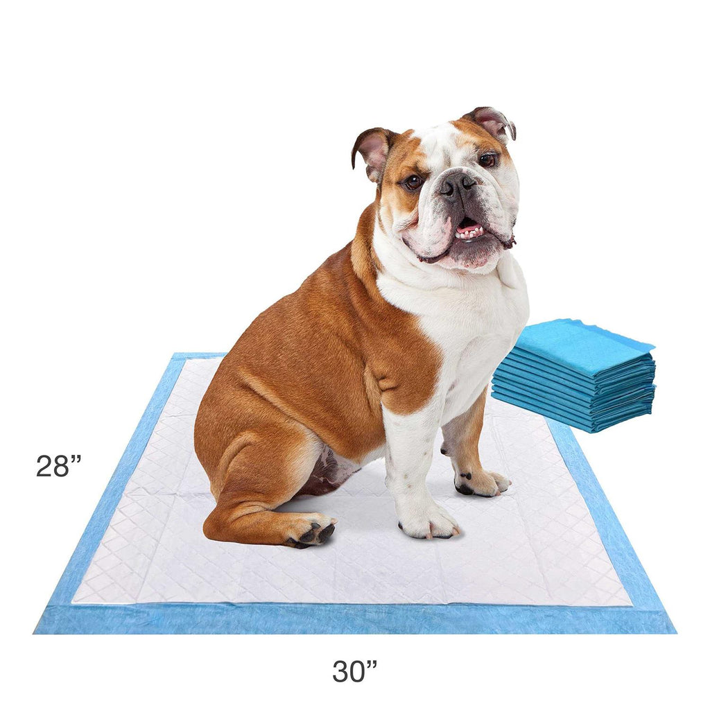 Odor Control Pads Q2671