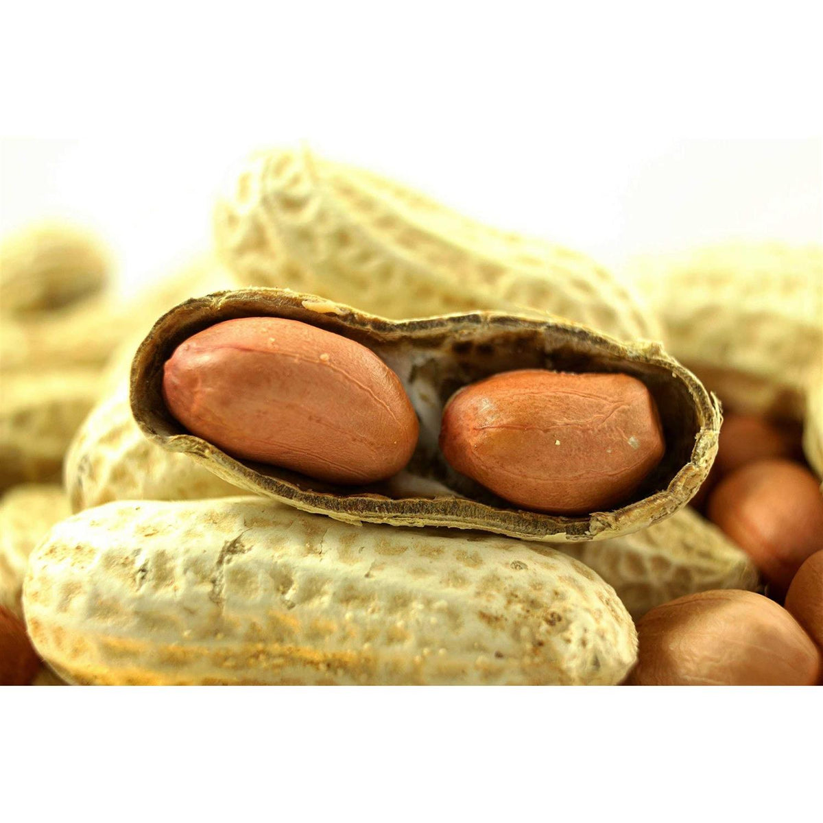 Extra Large Virginia Peanuts N913