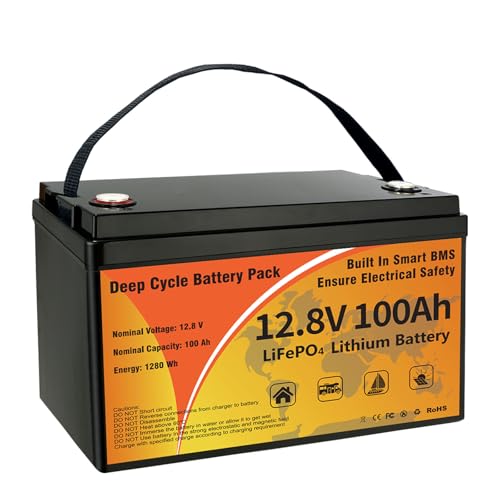 12V 100Ah LiFePO4 Lithium Battery Z876816