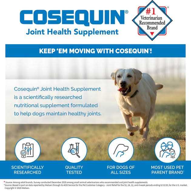 Cosequin DS for Dogs G308009