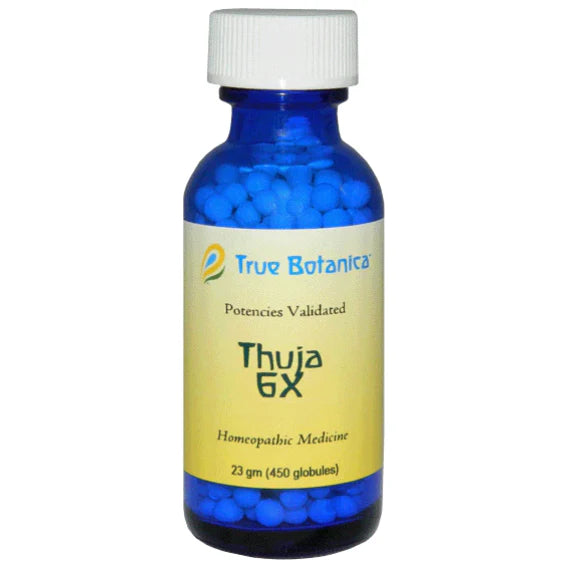Thuja 6X 23 g G535223