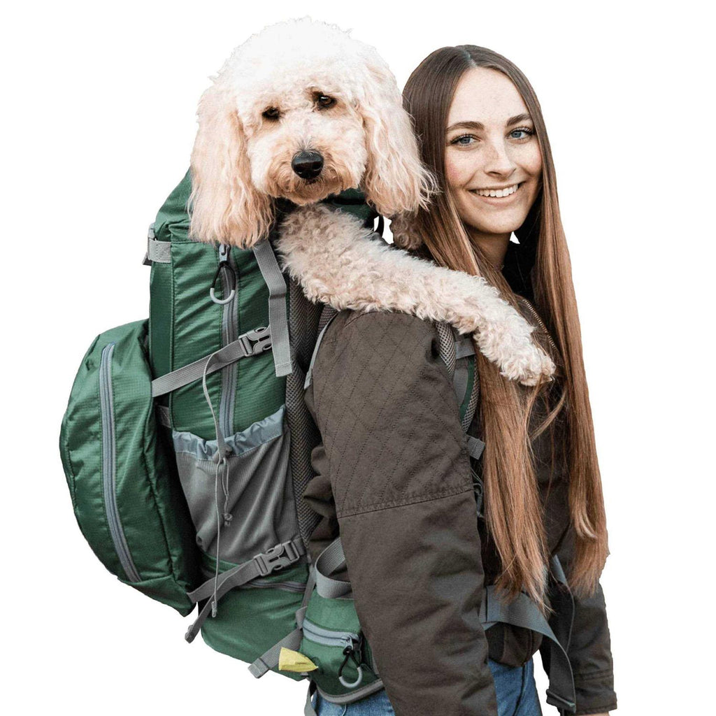 Dog Carrier V201358