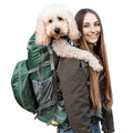 Dog Carrier V201358
