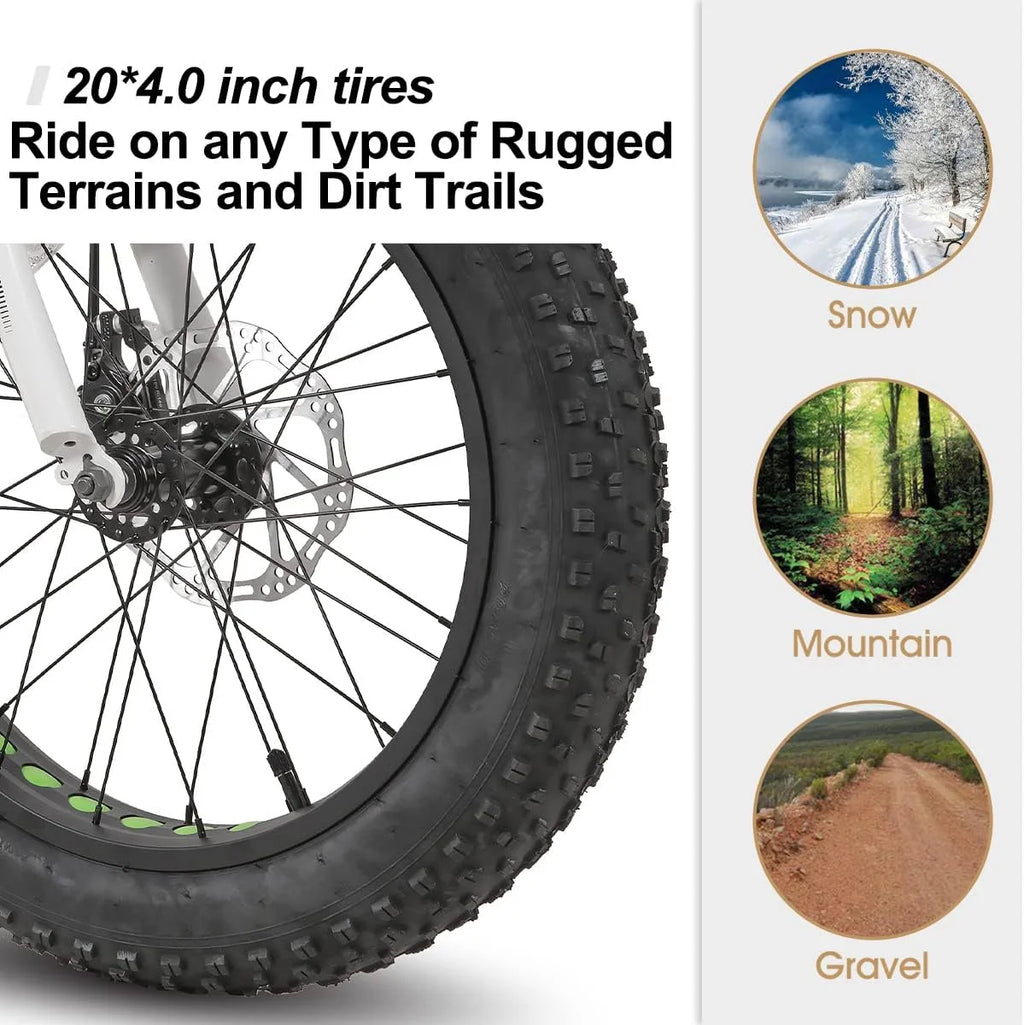 20 inch Kids Fat Tire Mountain Bike B582