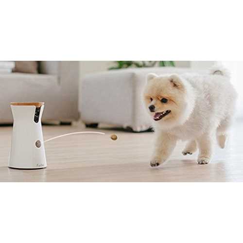 Dog Camera U522405