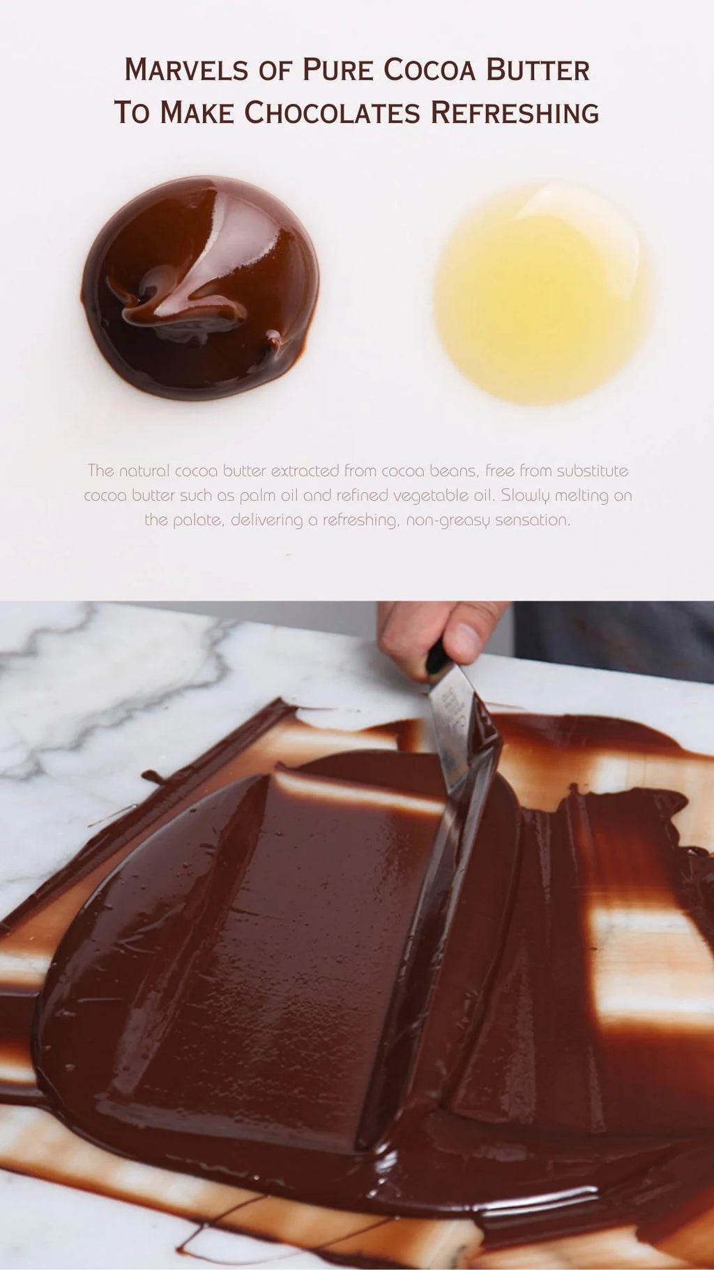Maltitol Sweetened Hazelnut Chocolate Bars, 6 Ct X823