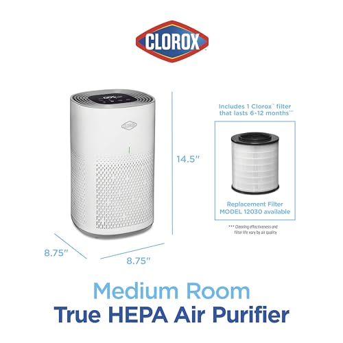 True HEPA Air Purifier for XL Rooms up to 2,220 sq ft O311