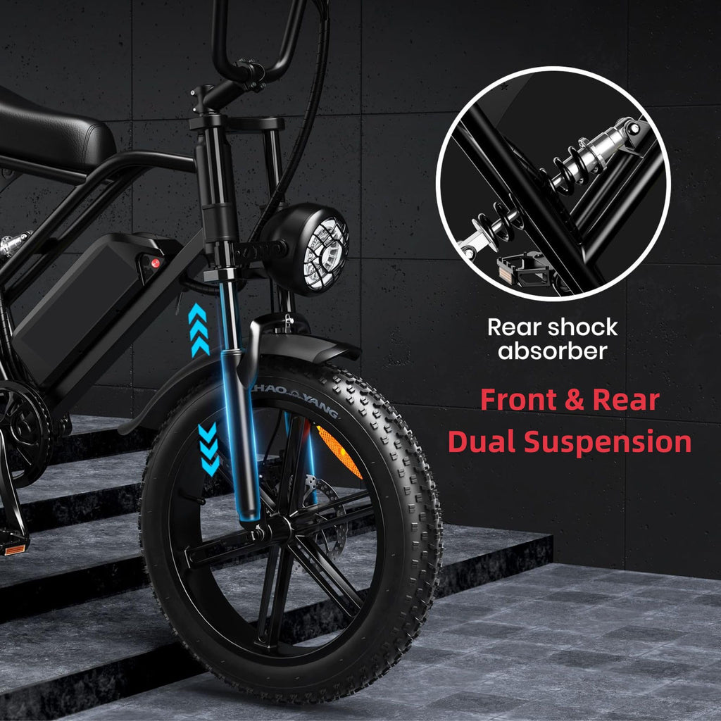 20" Fat Tire 750W Electric Bike with 48V 15AH Removable Battery D155