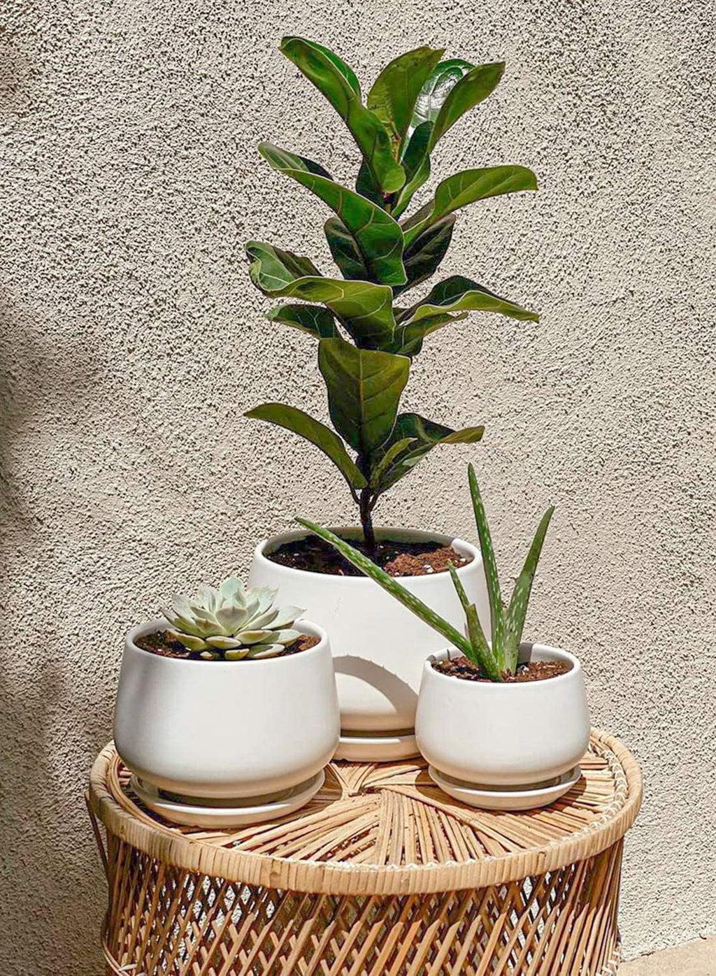 4.1+5.1+6.5 Inch Ceramic Plant Pots with Drainage Hole and Saucer, Set of 3, White S91533