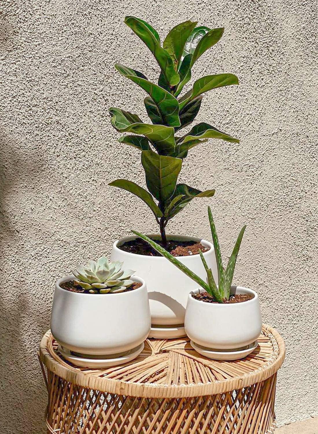 4.1+5.1+6.5 Inch Ceramic Plant Pots with Drainage Hole and Saucer, Set of 3, White S91533