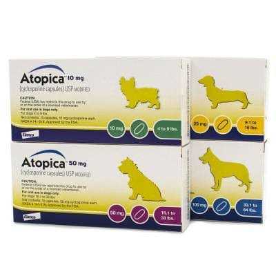 Pet Supplies I676581