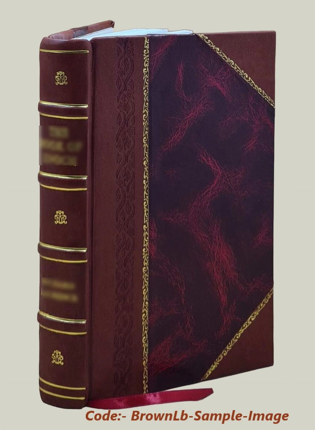 Electric Interlocking Handbook Leather Bound P451840