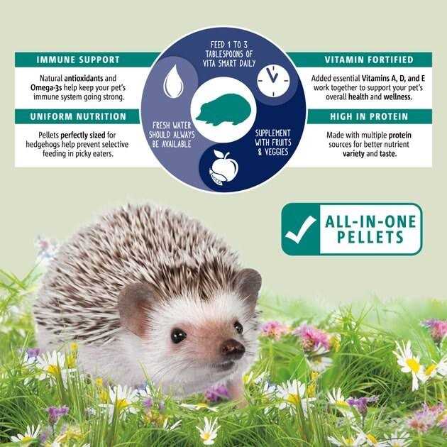 Hedgehog Food Y70050