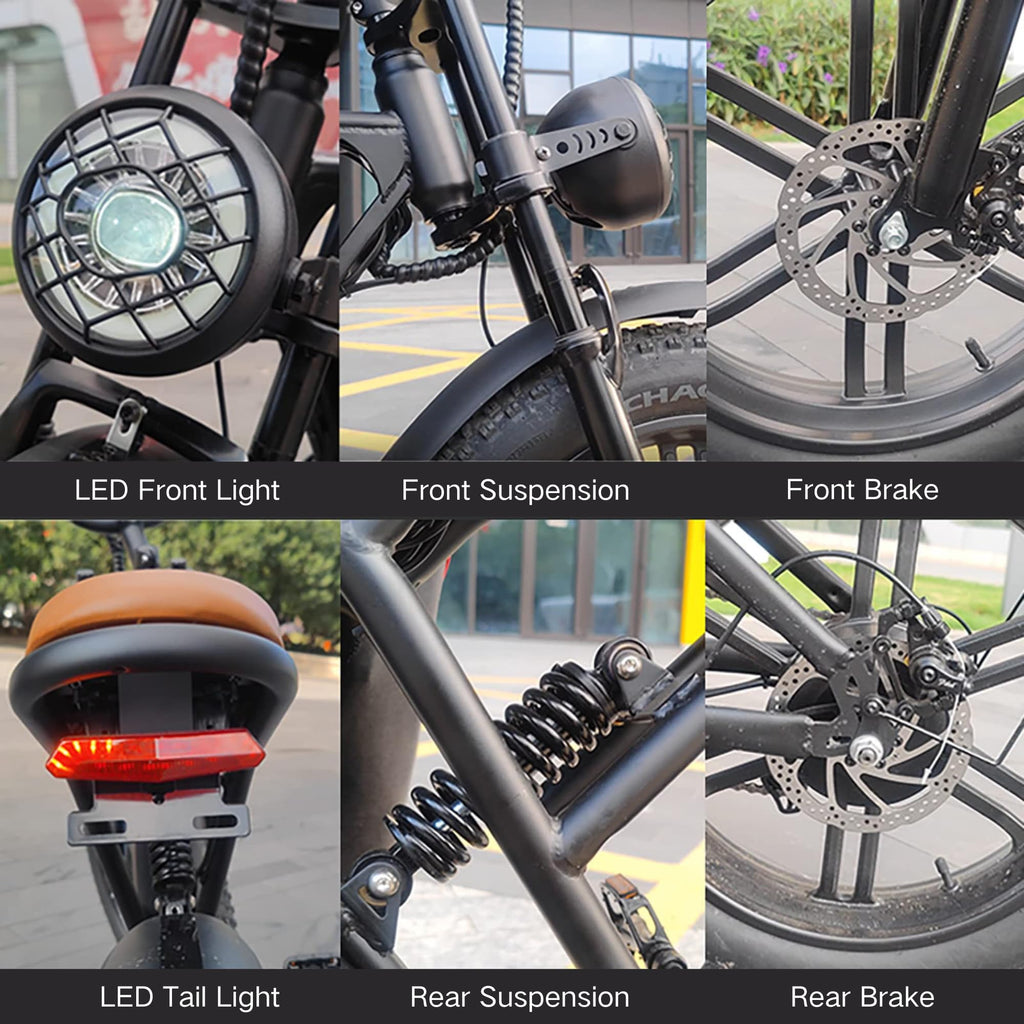 20" Fat Tire 750W Electric Bike with 48V 15AH Removable Battery D155