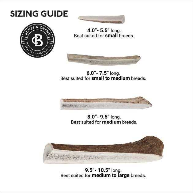 Elk Antler Split Dog Chew H799374
