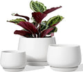 4.1+5.1+6.5 Inch Ceramic Plant Pots with Drainage Hole and Saucer, Set of 3, White S91533