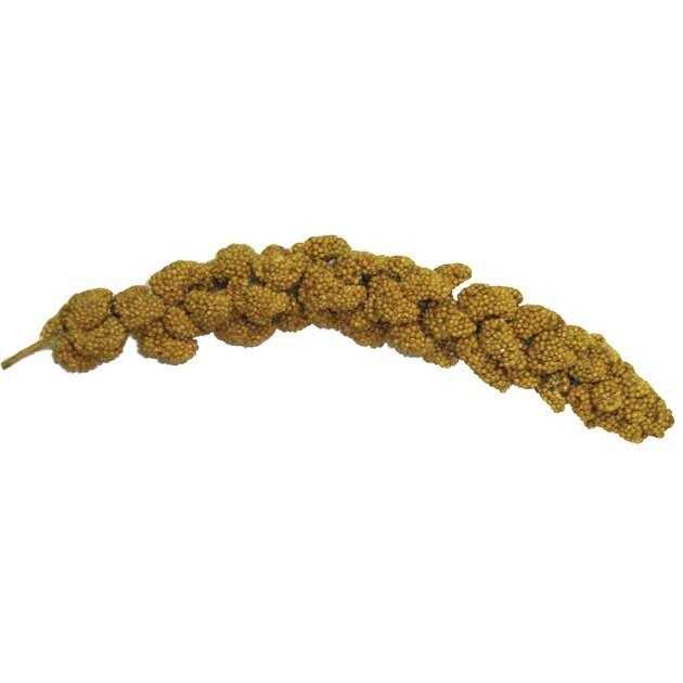 Natural Millet Spray O6943