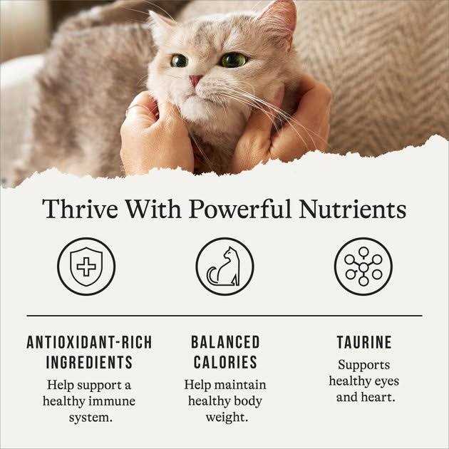 Salmon Grain-Free Dry Cat Food D75875