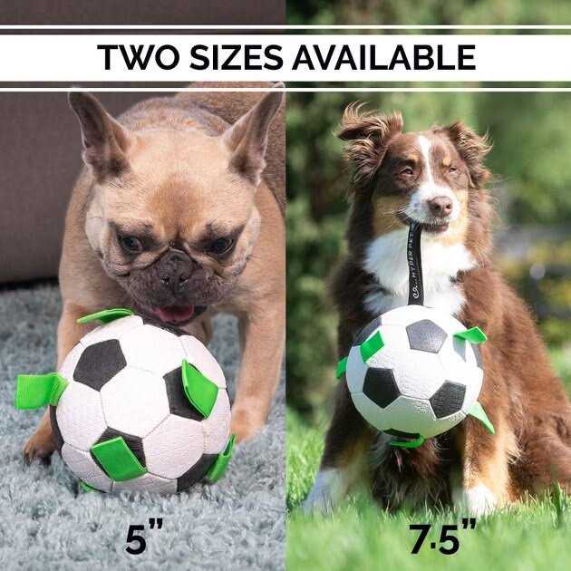 Soccer Ball Dog Toy X9810