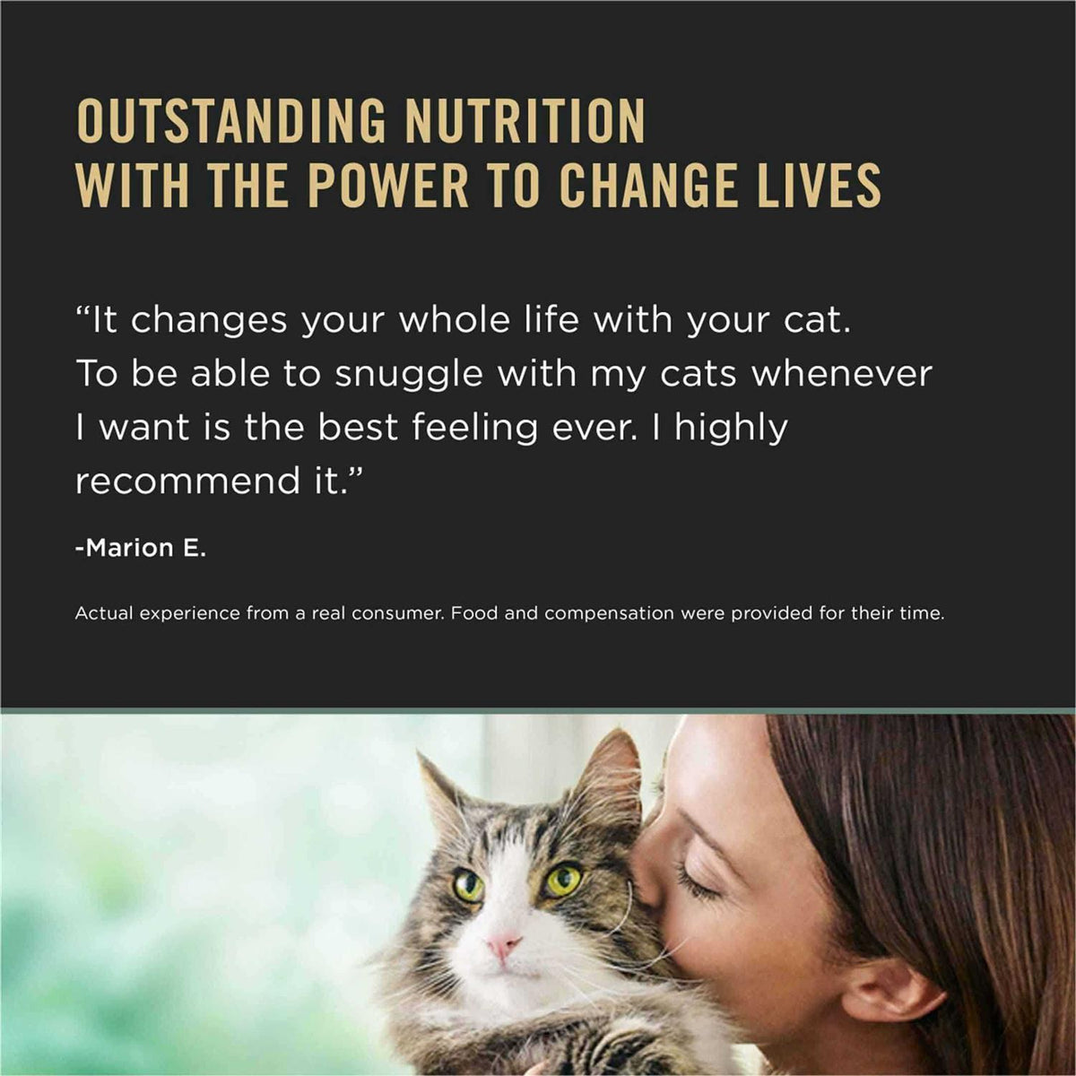 Rice Dry Cat Food R69528